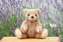 テディベアを作ろう